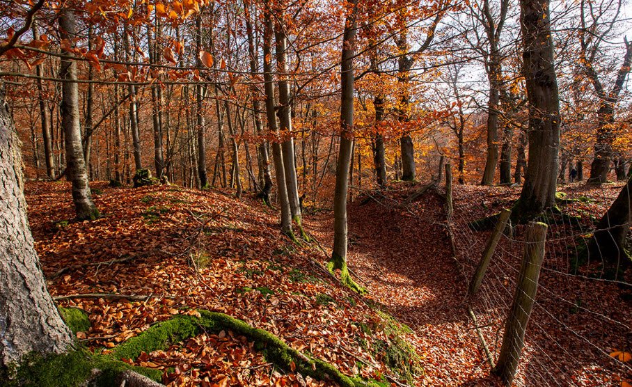 Burg am Backofen, Vöhl, Germany, Germany